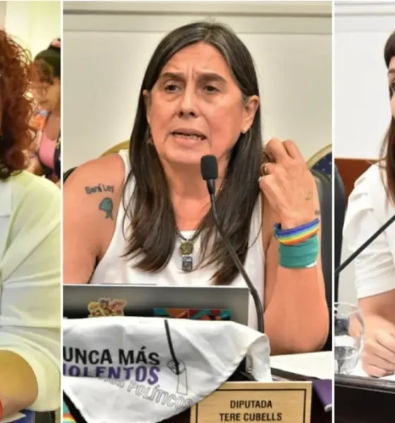 Proponen la creación del Ministerio de Derechos Humanos, Mujeres, Géneros y Diversidad de la provincia del Chaco
