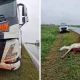 Impactantes imágenes de la colisión de un camión con un caballo en Ruta N° 89