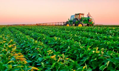 FCI para productores del Chaco