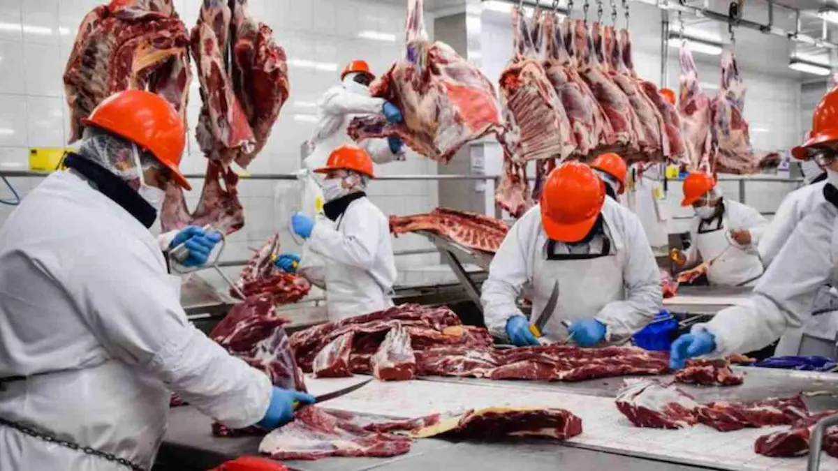 frigoríficos chaqueños