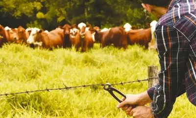 Ganaderos Chaco abigeato: alerta por robos y costos
