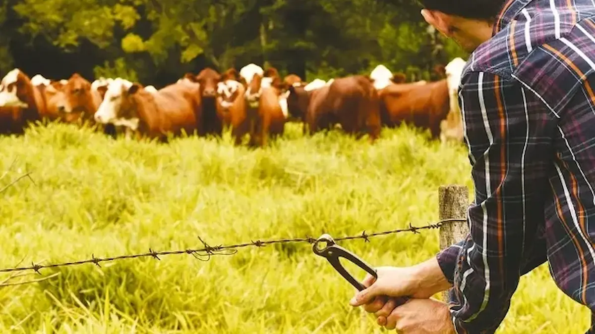 Ganaderos Chaco abigeato: alerta por robos y costos