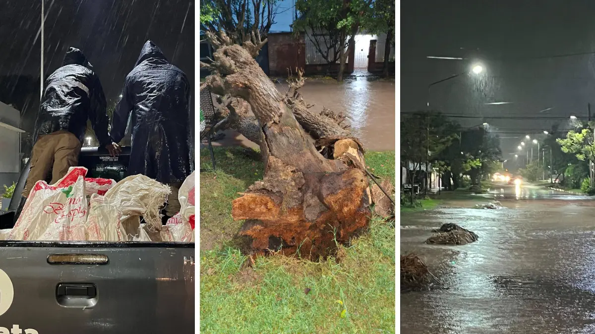 El temporal en Charata dejó más de 100 mm en pocas horas: barrios anegados, árboles caídos, cortes de luz y la Escuela N° 142 habilitada como centro de evacuación