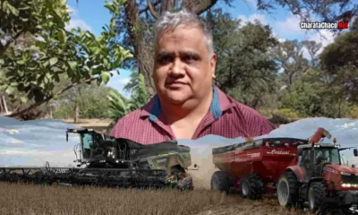 Cosecha soja Chacabuco 2026: situación del campo en mayo