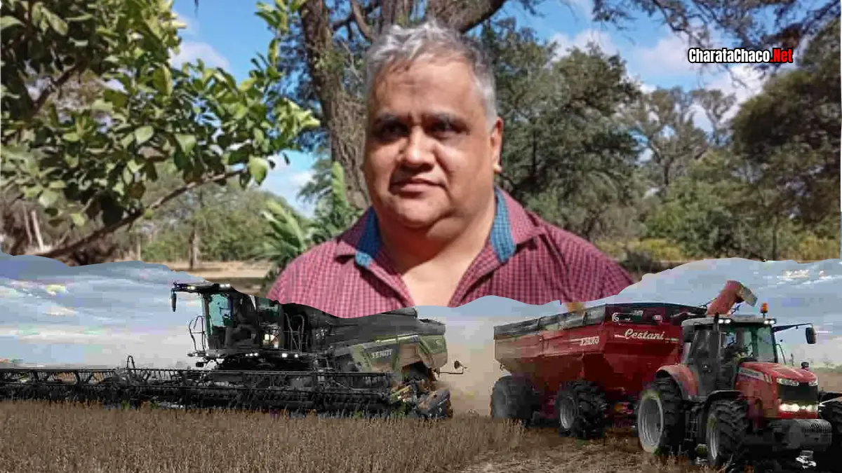 Cosecha soja Chacabuco 2026: situación del campo en mayo