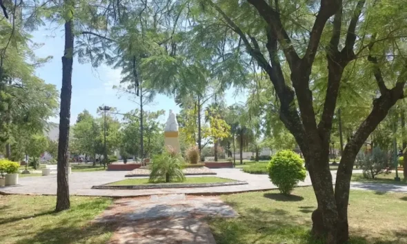 Las Breñas arbolado