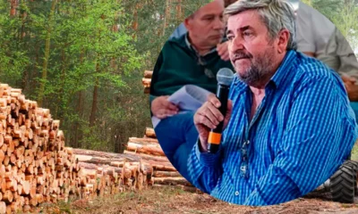 Crisis foresto industria Chaco