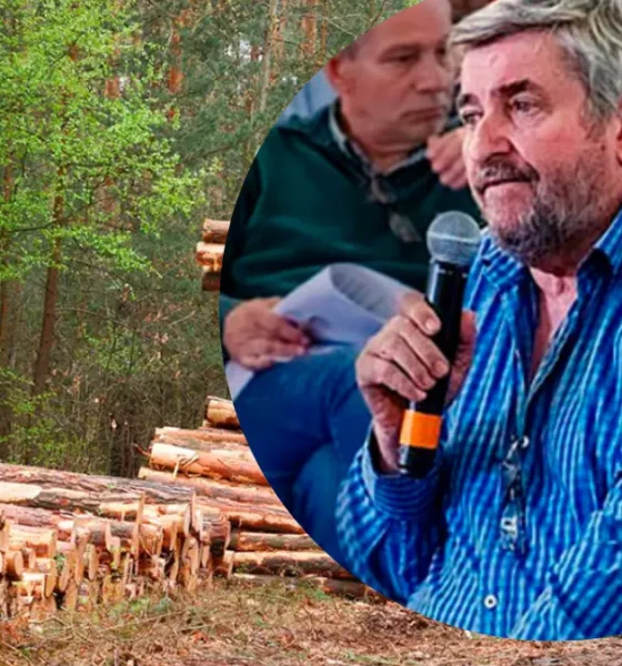 Crisis foresto industria Chaco