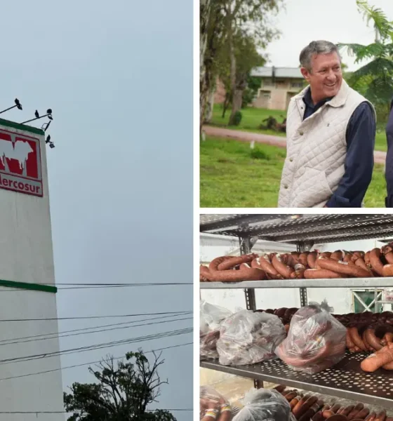 Frigorífico Mercosur Charata: avanza el tránsito federal