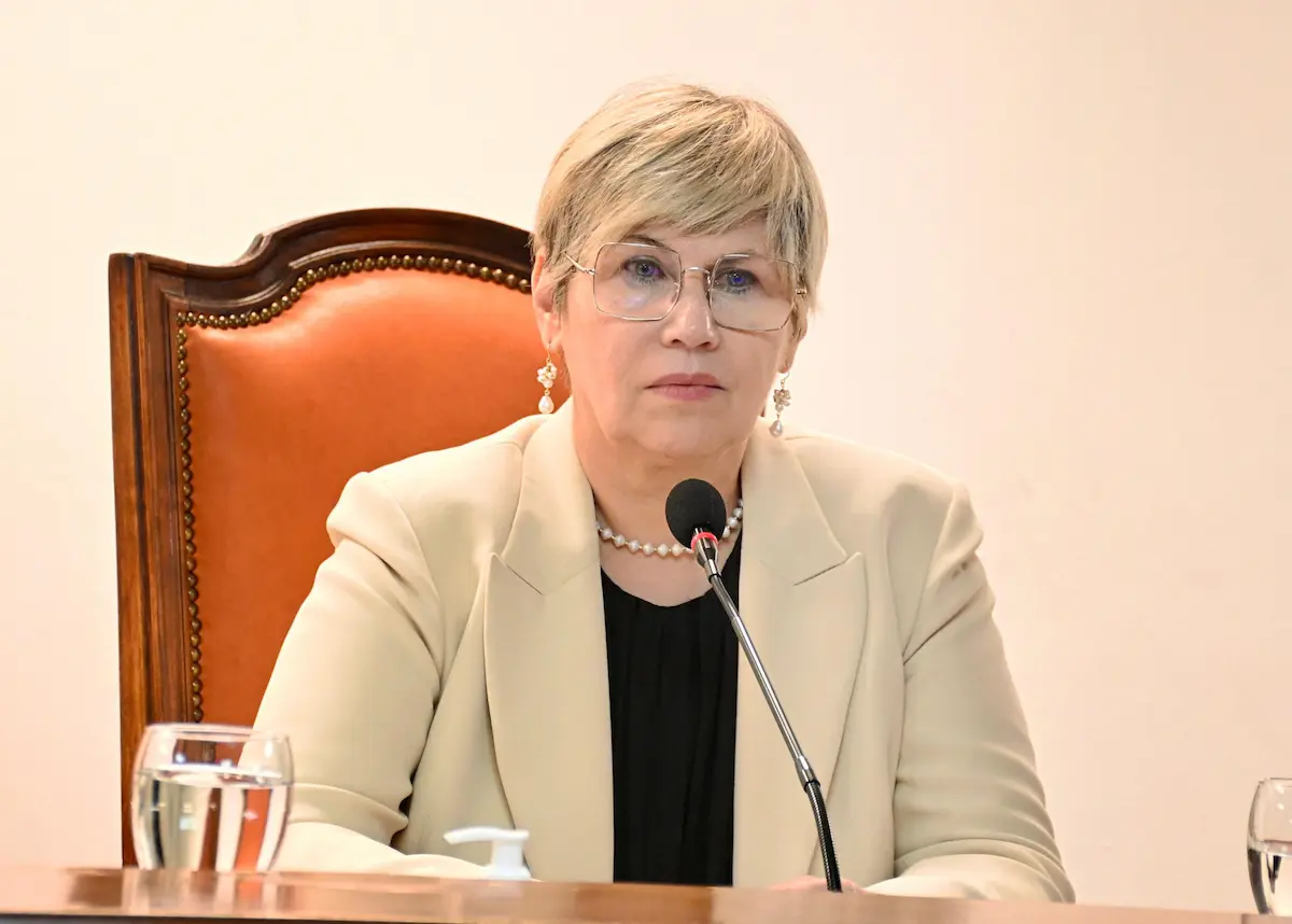 Amenazas escuelas Chaco: Naidenoff dice "esto es un delito"