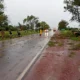 Árbol caído en Charata: municipio actuó tras las lluvias