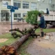 Temporal en la ciudad: cuadrillas municipales intensifican trabajos tras lluvias y fuertes ráfagas