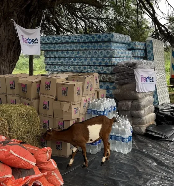 Más de 50 familias aisladas y 33 evacuadas en El Impenetrable: la crecida del Río Bermejito golpea al norte chaqueño