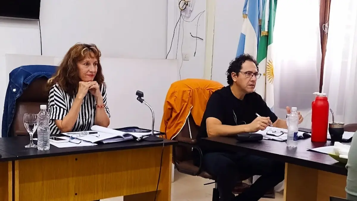 Concejo Charata repudia eliminación Volver al Trabajo y PAMI