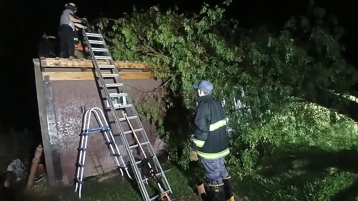 Las lluvias de la madrugada del miércoles dejaron árboles caídos en Resistencia y seis familias evacuadas en Misión Nueva Pompeya: bomberos y policía trabajaron toda la noche