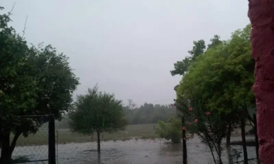 Caminos intransitables Chaco: el mapa de rutas del 25 de abril