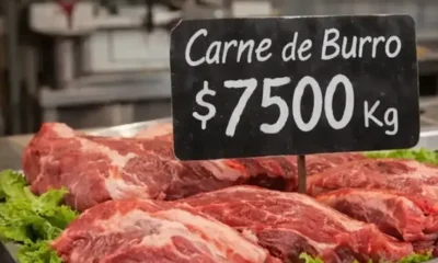 Carne de burro Argentina: precio, ley y por qué es polémica