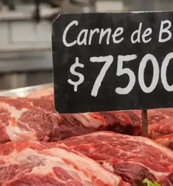 Carne de burro Argentina: precio, ley y por qué es polémica