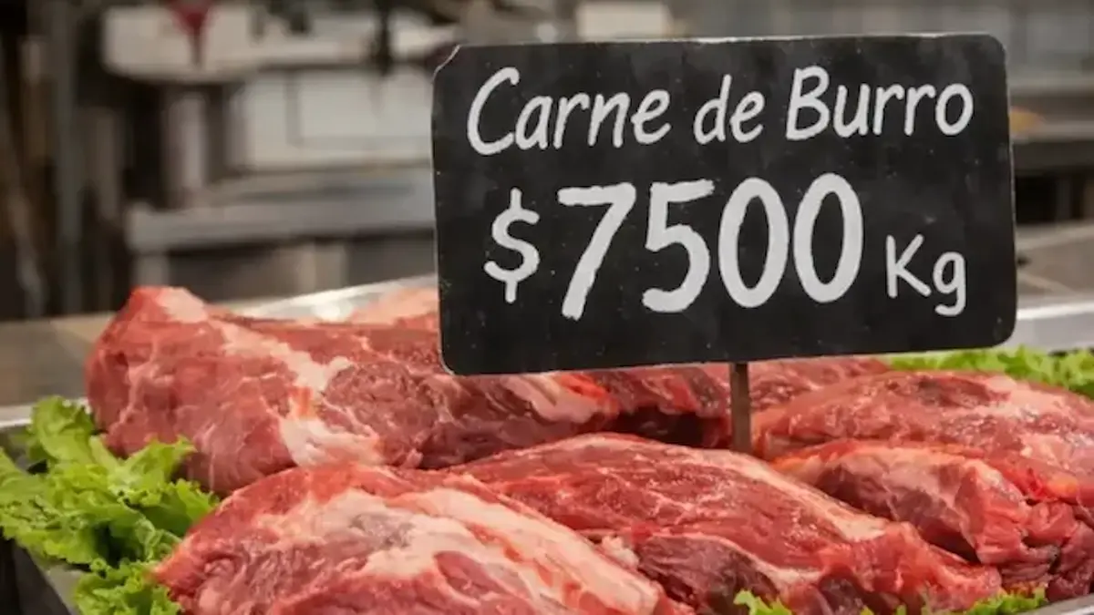 Carne de burro Argentina: precio, ley y por qué es polémica