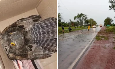 Charata hoy lunes 21 de abril: resumen de noticias