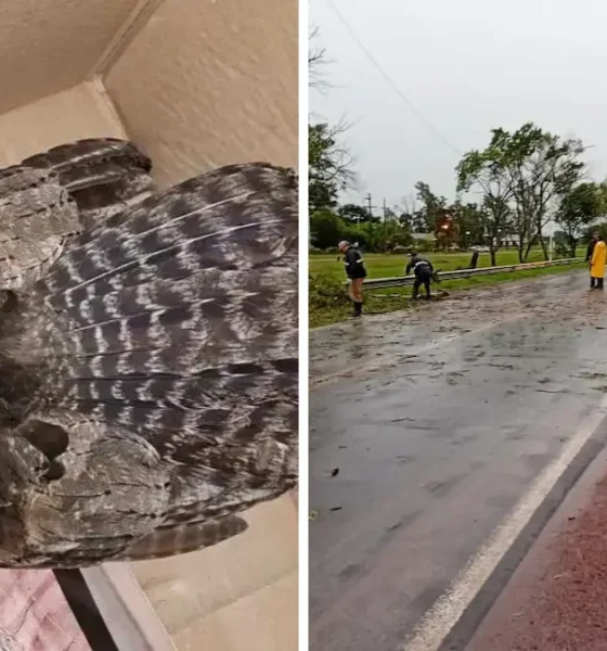 Charata hoy lunes 21 de abril: resumen de noticias