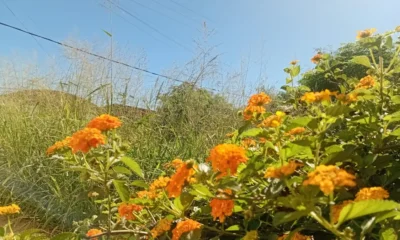 Clima en Charata hoy: pronóstico jueves 30 de abril