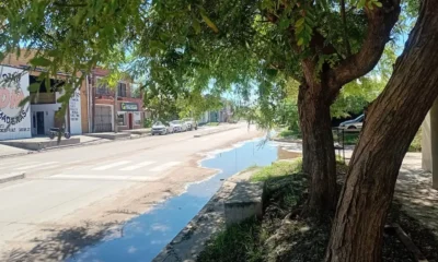 Clima en Charata hoy: pronóstico miércoles 29 de abril