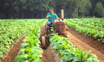 Economías regionales en rojo: 9 sectores en crisis