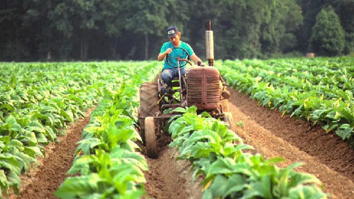 Economías regionales en rojo: 9 sectores en crisis