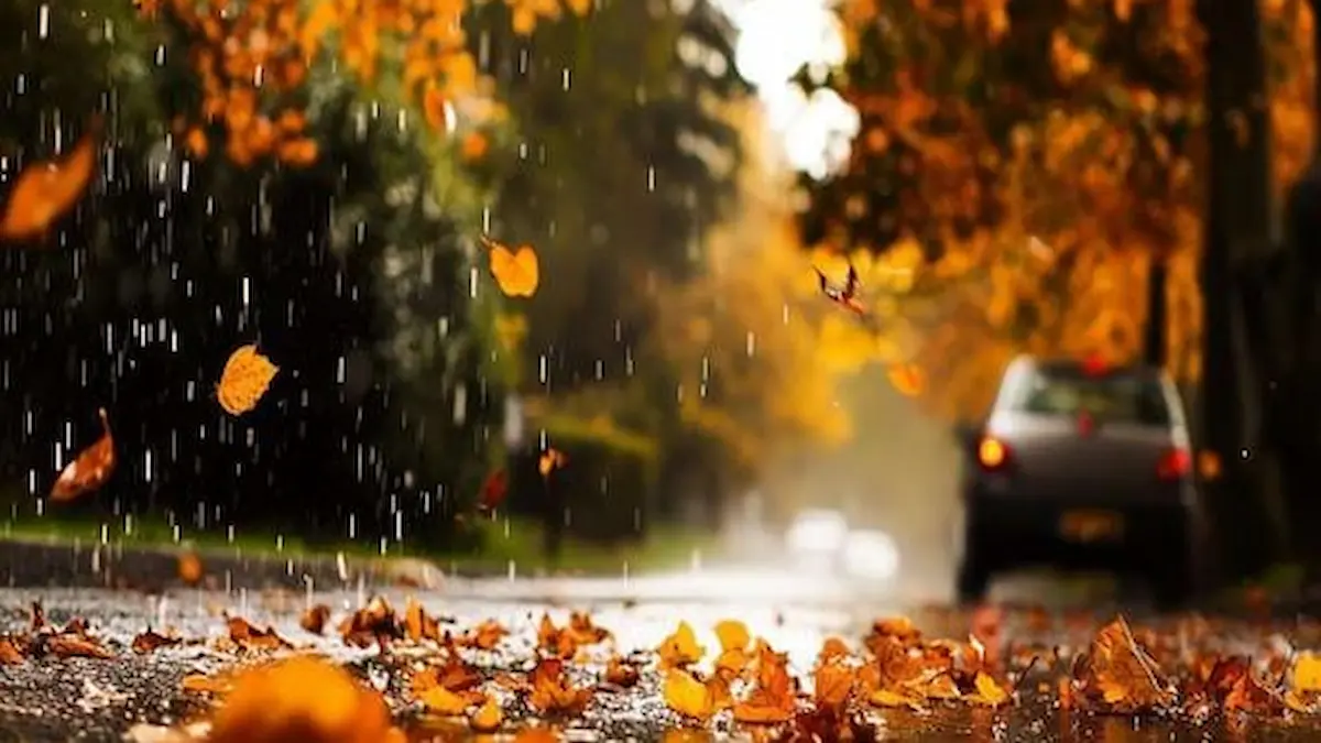 Chaco: lluvia y frío en otoño