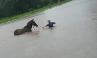 Villa Río Bermejito: inundaciones y emergencia hídrica