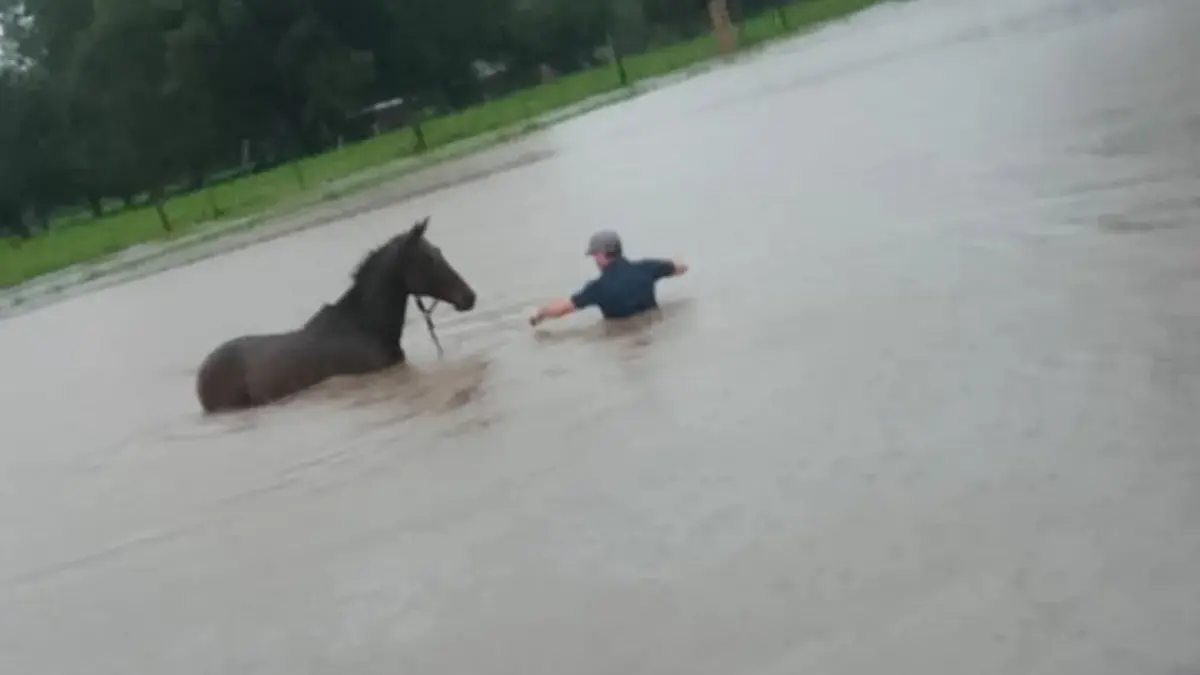 Villa Río Bermejito: inundaciones y emergencia hídrica