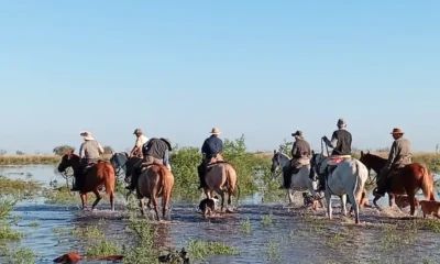 Inundaciones en el litoral golpean la ganadería del Chaco