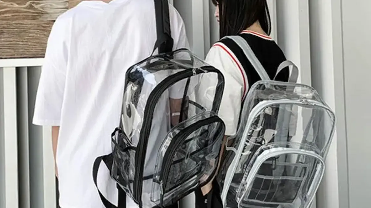 ¿Mochilas transparentes escuelas Chaco?: precios y demanda