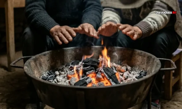 Calefacción segura en Charata: estufas y braseros sin riesgo