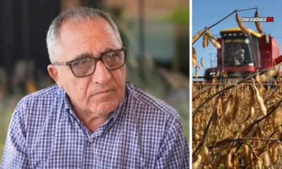 Cosecha Chaco 2026: buenos rindes con problemas de logística