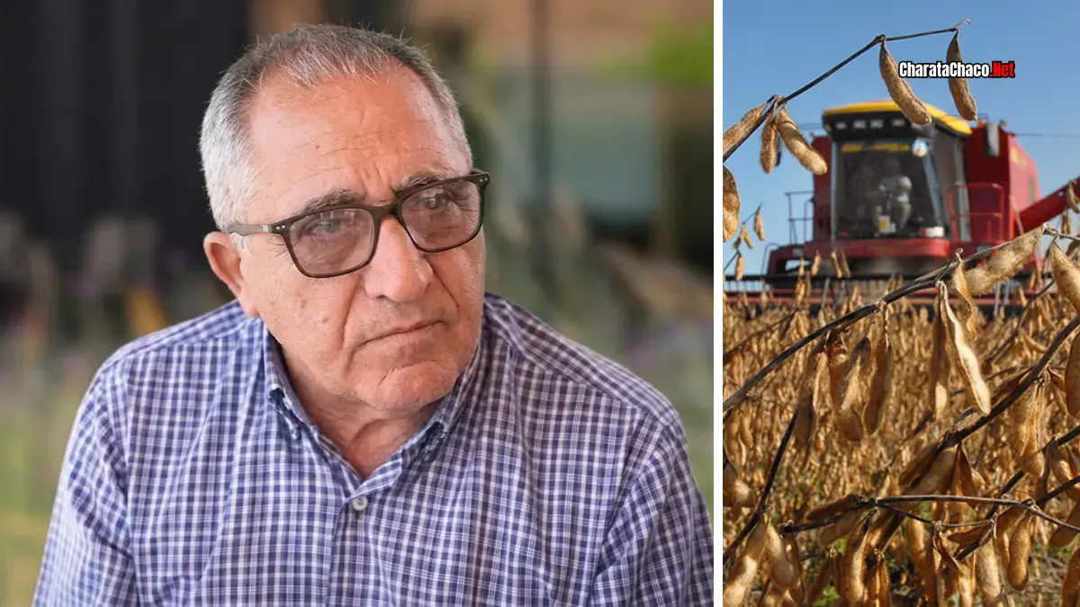 Cosecha Chaco 2026: buenos rindes con problemas de logística