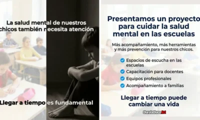 Salud mental escolar Chaco: el proyecto de Chomiak