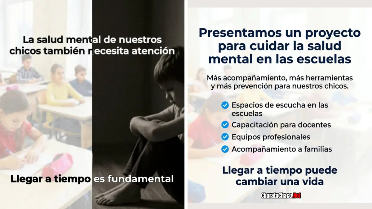 Salud mental escolar Chaco: el proyecto de Chomiak