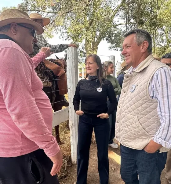 Remate ganadero en General Pinedo: 700 cabezas y Rach presente