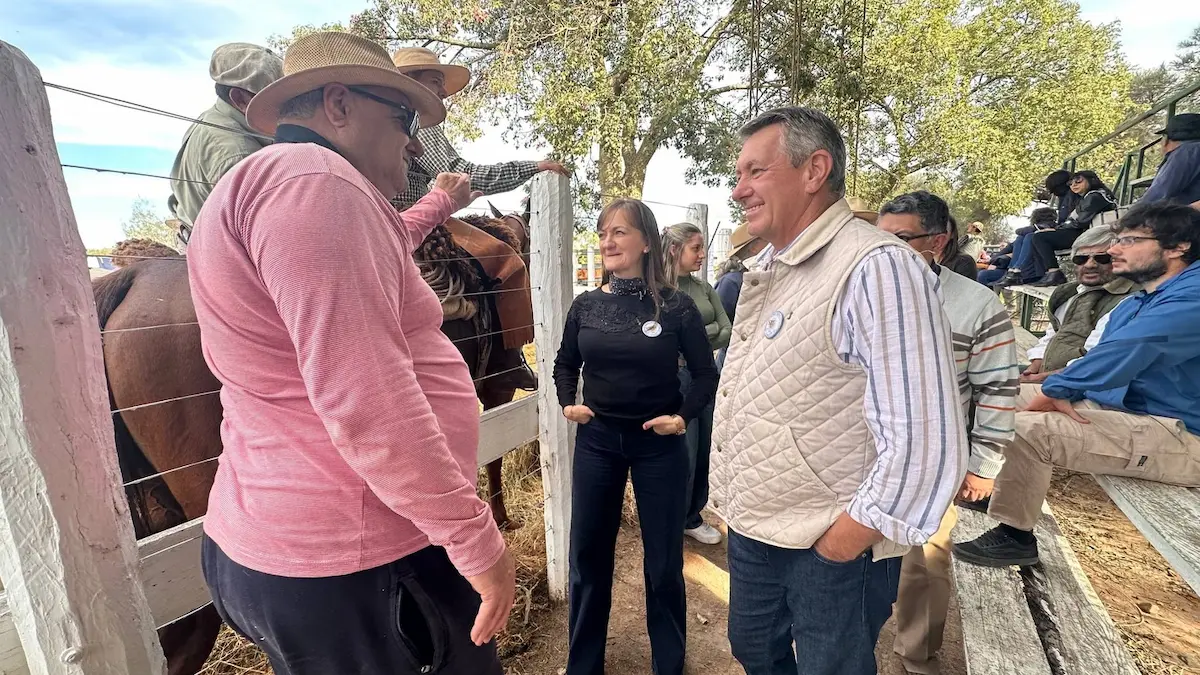 Remate ganadero en General Pinedo: 700 cabezas y Rach presente