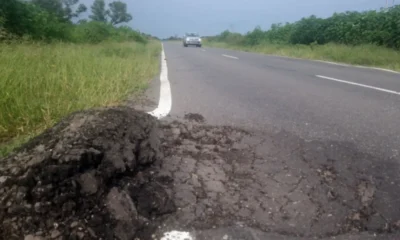 Licitación de rutas nacionales en el Chaco: RN 11 y RN 16