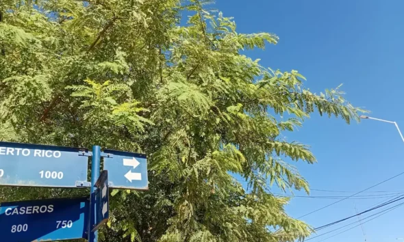 Clima en Charata hoy: pronóstico domingo 10 de mayo
