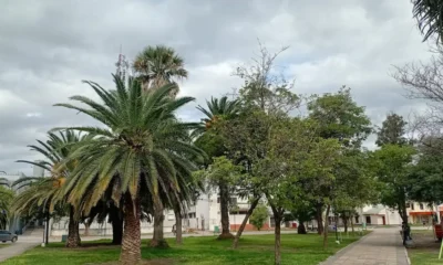 Clima en Charata hoy: pronóstico lunes 4 de mayo