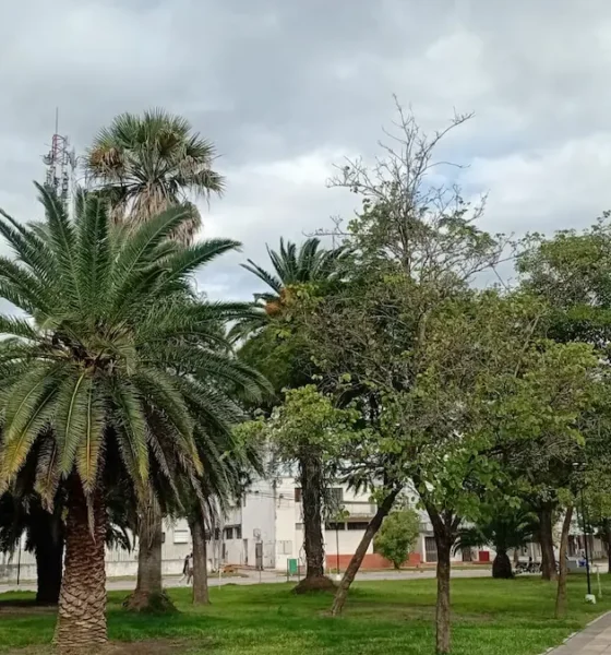 Clima en Charata hoy: pronóstico lunes 4 de mayo