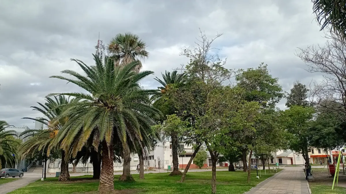 Clima en Charata hoy: pronóstico lunes 4 de mayo