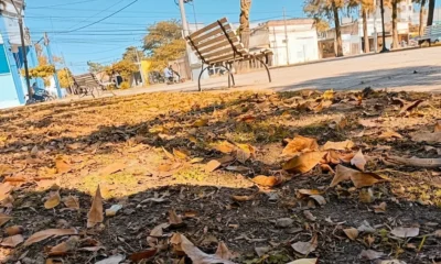 Otoño en Charata 2026: las últimas tardes templadas