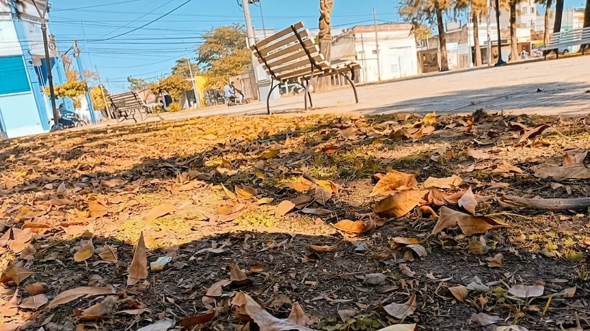 Otoño en Charata 2026: las últimas tardes templadas