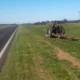 Llamaron a licitación para repavimentar la Ruta Nacional 89 entre el Chaco y Santiago del Estero