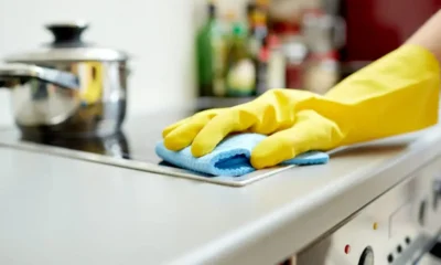 Recibo de sueldo digital doméstico: cómo funciona